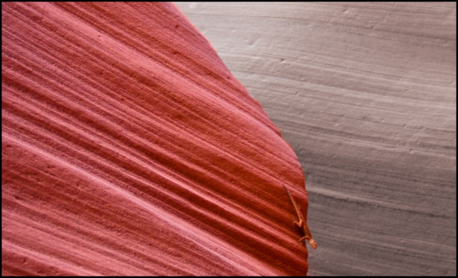 Lower Antelope Canyon, Page - Arizona - USA